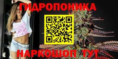 молекула духа Среднеуральск
