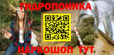 a pvp Ставрополь