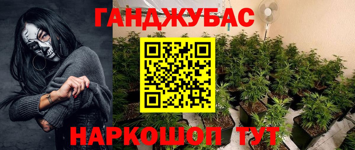 Канабис индика Нальчик